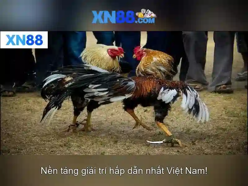 💎bài đánh giá về bac si nguyen huu chung💎