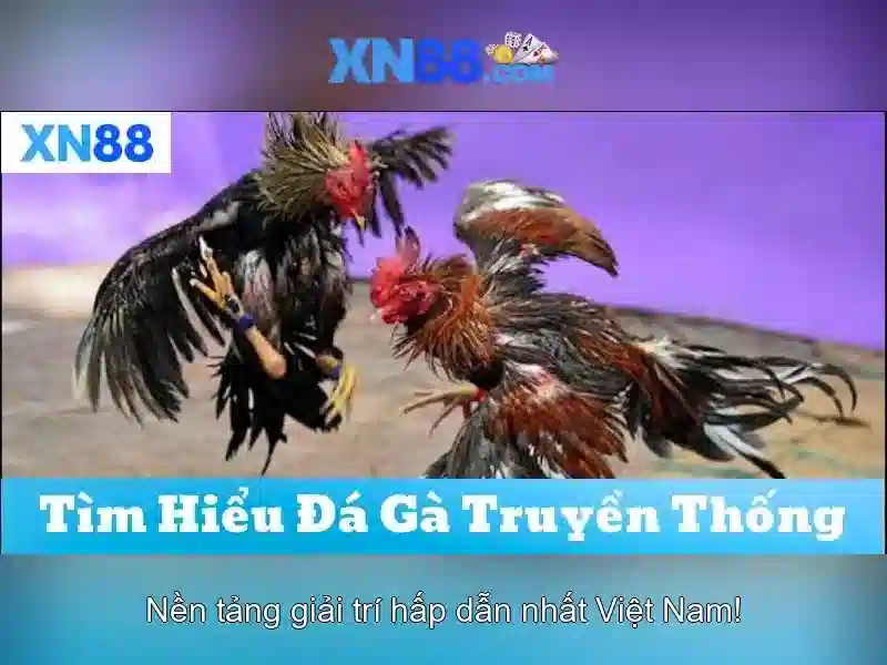💎bắt vụ đánh bạc ở huế💎