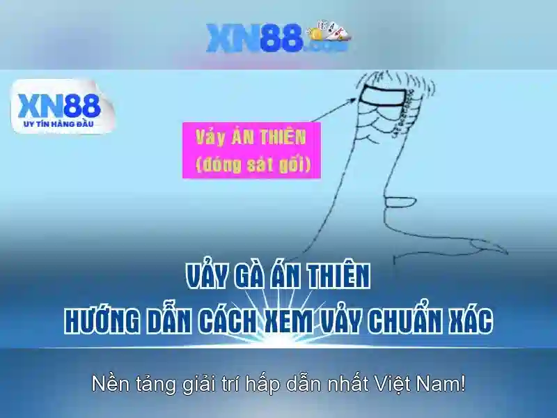💎trang cá cuộc bóng đá💎