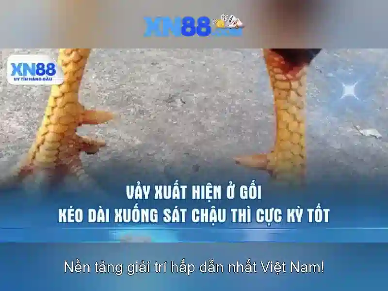 💎slot machine programming💎