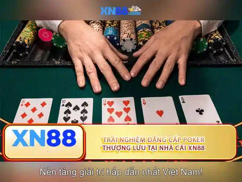 💎xn88 vip.com💎