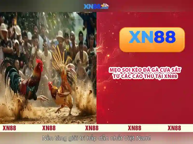 💎top 10 sòng bạc casino trực tuyến đỉnh💎
