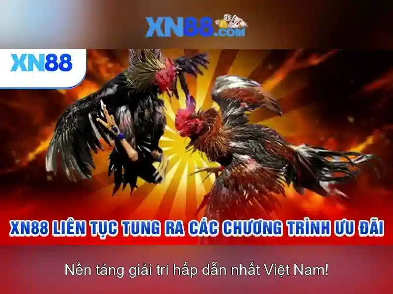 💎cuộc sống thăng trầm như bản hòa ca💎