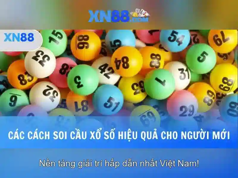 💎vùng núi tây bắc có các sông💎