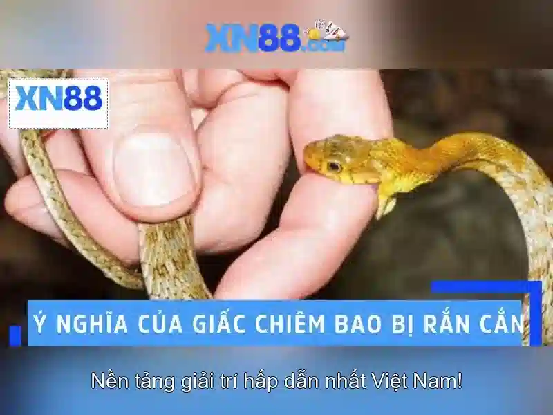 💎nhà cái vn138💎 - vn138 nhà cái - vn138 nha cai