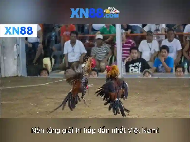 💎hashnode xn88💎