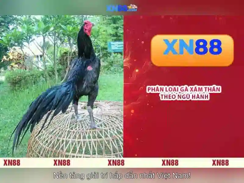 💎cài win tại nhà cầu giấy hà nội💎
