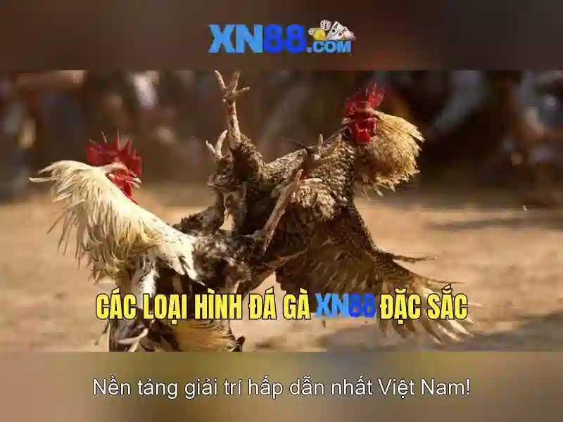 💎cách cai ma tuý tại nhà💎