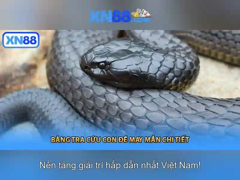 💎top nhà cái 15.💎