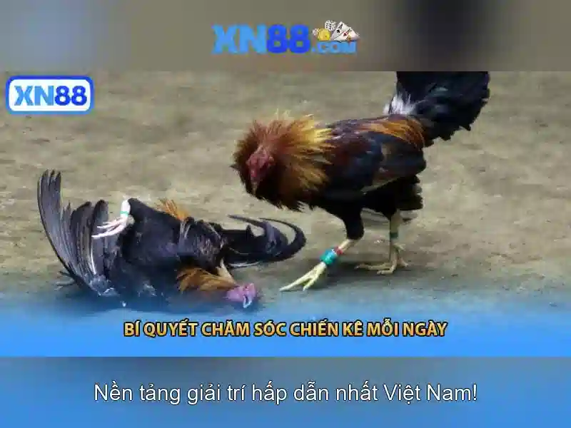 💎bắt đánh bạc ở hải phòng💎