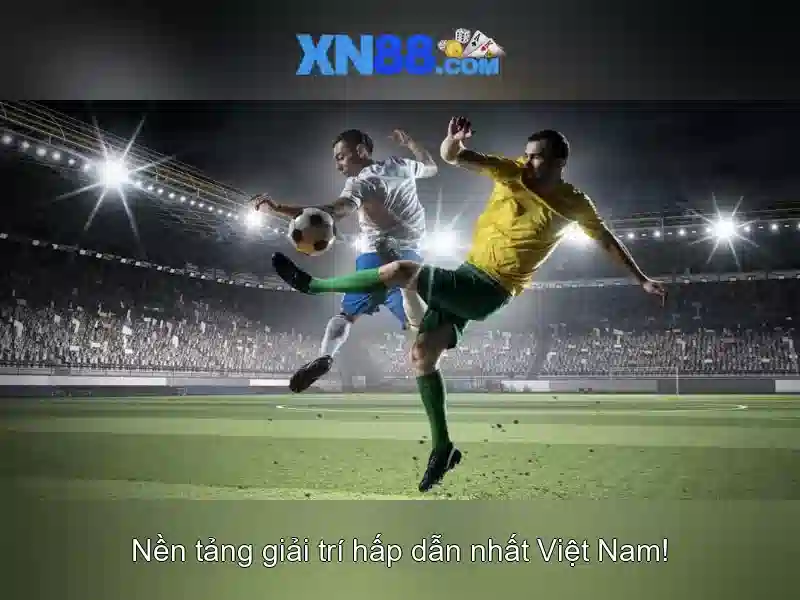 💎luận cứ bào chữa tội đánh bạc💎