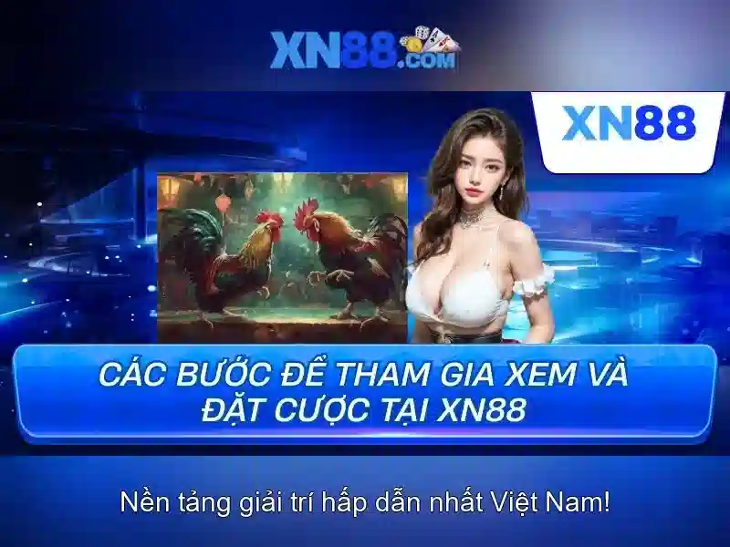 💎đánh bạc mức bao nhiêu thì bị khởi tố💎