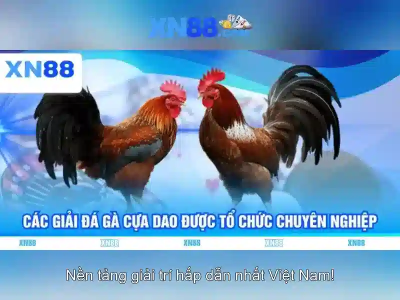 💎sơ đồ sông ngòi miền bắc💎