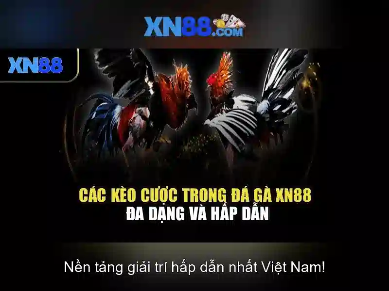 💎cá cược bóng đá clup💎