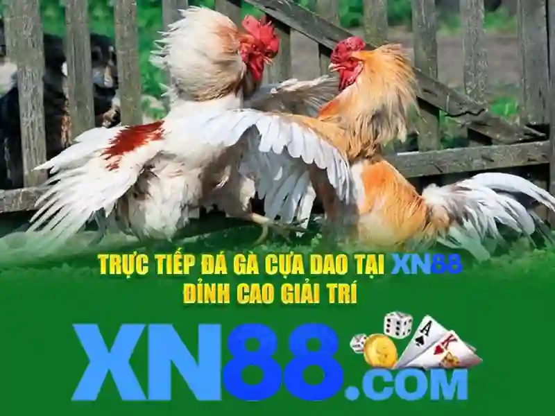 💎câu gì không bắc qua sông💎